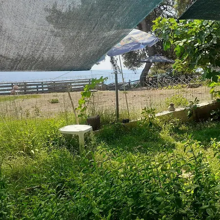 Traditional Agia Paraskevi (Kassandra)