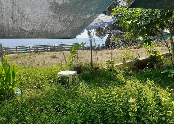 Traditional Agia Paraskevi (Kassandra)