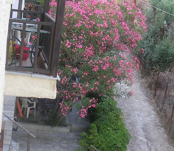 Appartamento Traditional Agia Paraskevi (Kassandra)