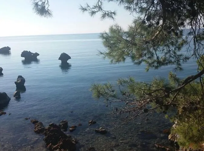 Traditional * Agia Paraskevi (Kassandra)