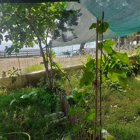 Apartman Traditional