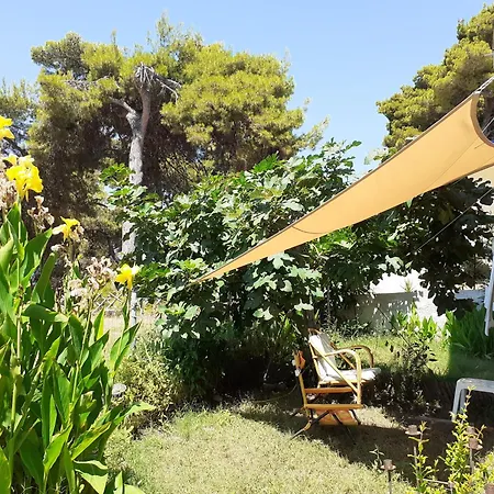 Appartement Traditional *