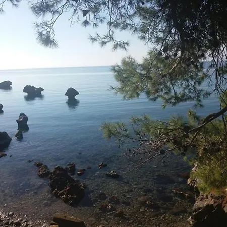 Traditional * Agia Paraskevi (Kassandra)